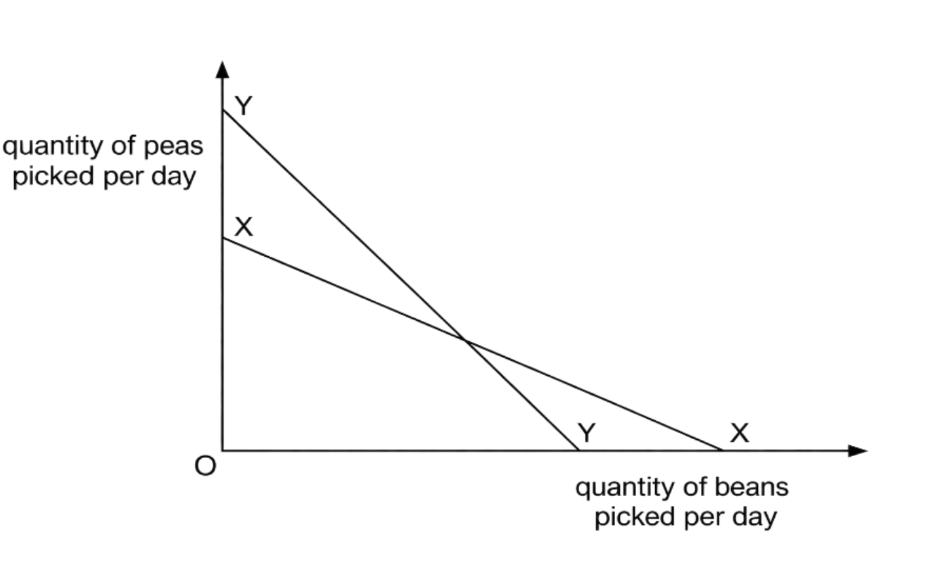 Diagram for question MJ/17/P12/Q3