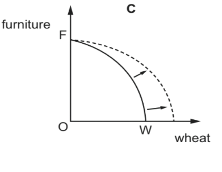 Option C diagram