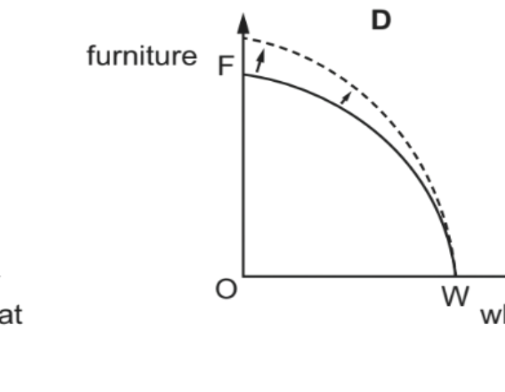 Option D diagram