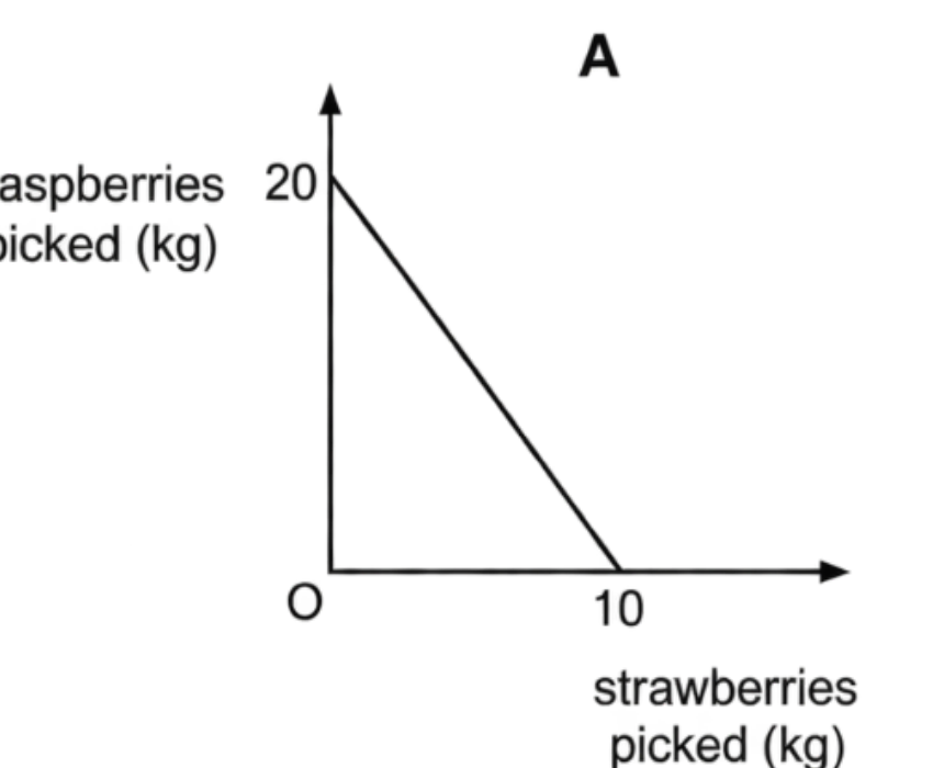 Option A diagram