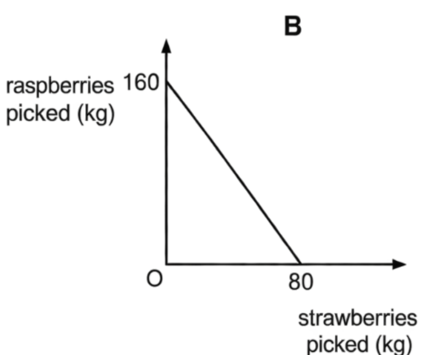 Option B diagram