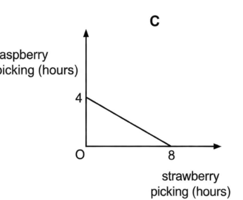 Option C diagram