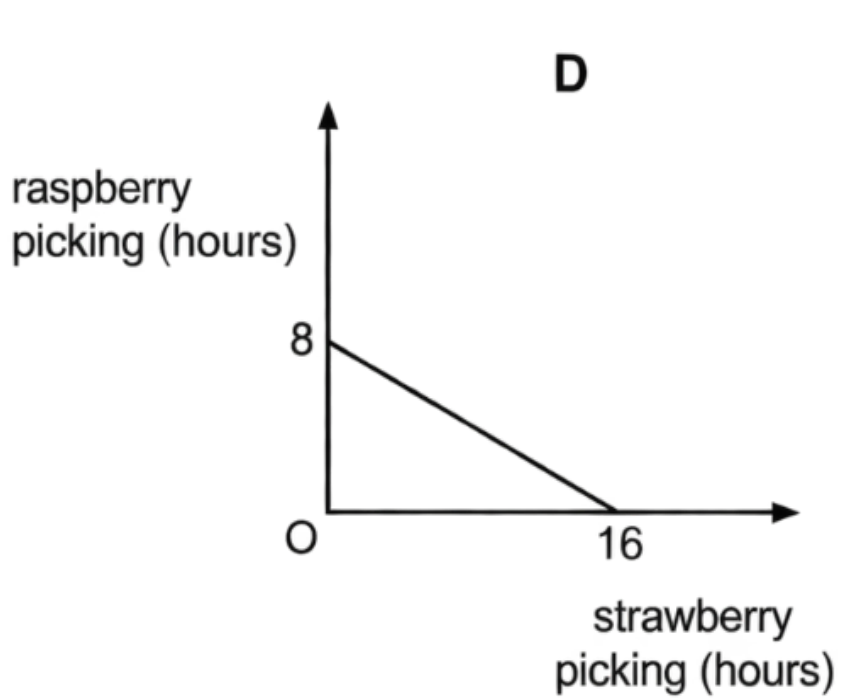 Option D diagram