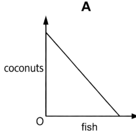 Option A diagram