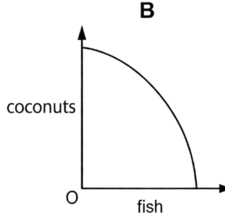 Option B diagram