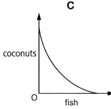 Option C diagram