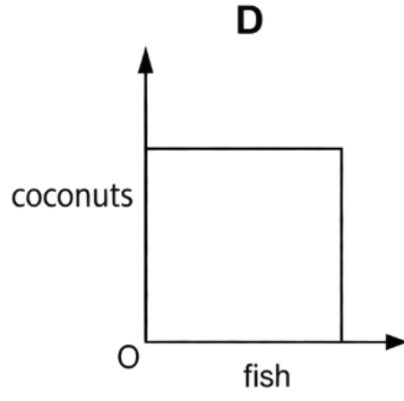 Option D diagram